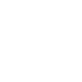 車載
